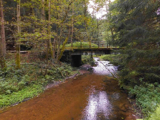 Brücke Grenzübergang Hinterhermsdorf - Khaatal