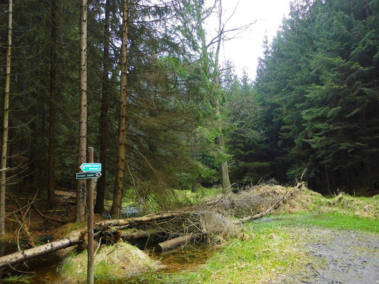 Großer Zschand