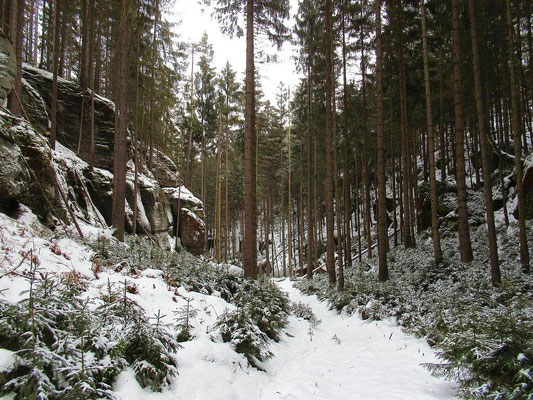 Lindengründel