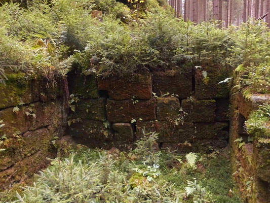 Ruine im Pohligsgrund