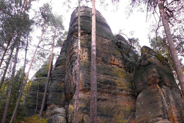 Unterhalb der Käs und Brot - Aussicht. Mitte Schweifsternnadel, links Stecknadel