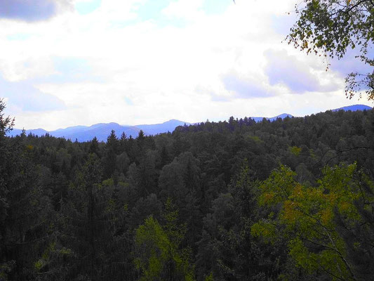Blick vom östlichen Teil des Rosengartens zum Kreibitzer Bergland. Rechts Kaltenberg, Mitte Großer Ahrenberg/Javor, Links Himpelberg/Chribsky vrch