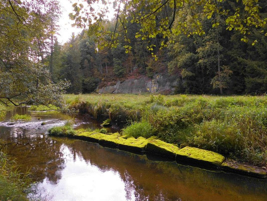 Steine eines ehemaligen Wehres? oberhalb von Hinterdaubitz