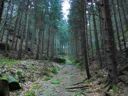 Hochhübelweg
