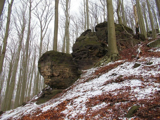 Felsen am Südhang vom Raumberg
