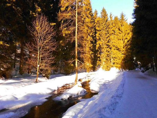 Winter im oberen Khaatal