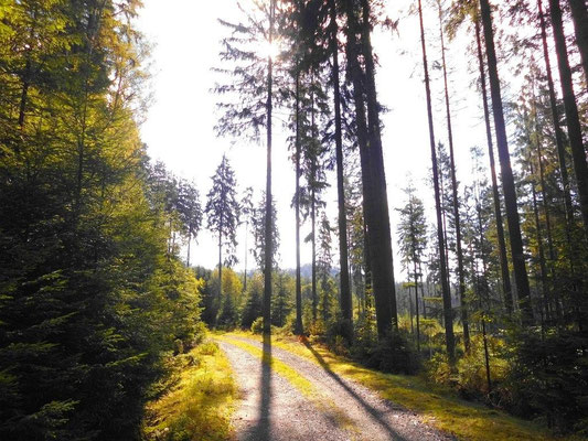 Blau markierter Wanderweg