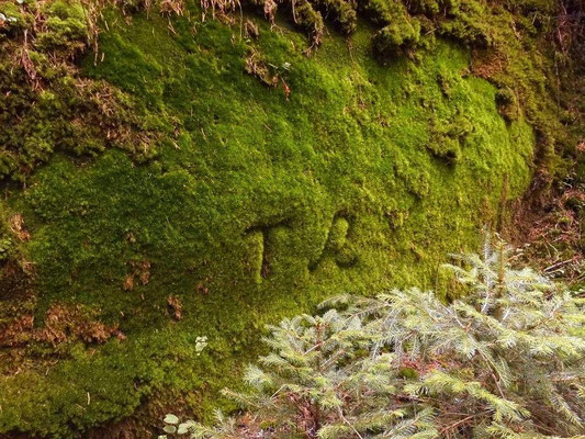 Alte Inschrift neben der Ruine