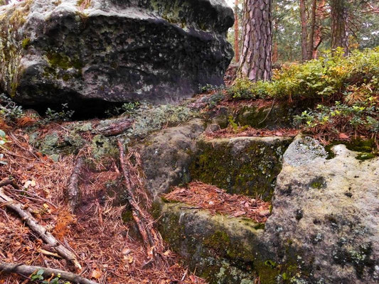 Alte Steinstufen in einem sehr unwegsamen Teil des Rosengartens, hier muß früher irgendein Zugang in Richtung Rosengartenturm gewesen sein.