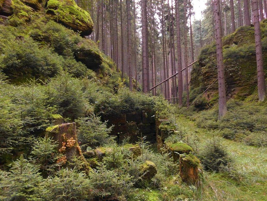 Ruine im Pohligsgrund