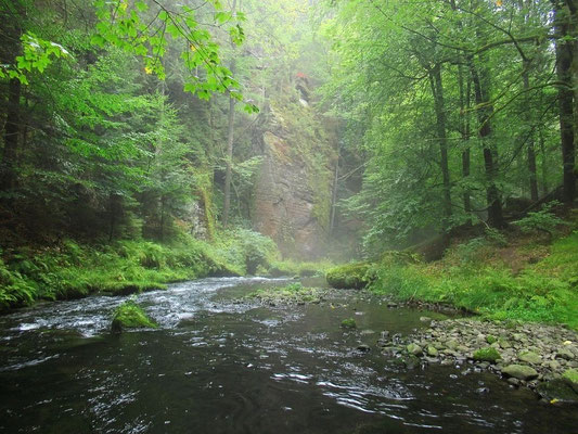 4. Bachdurchquerung