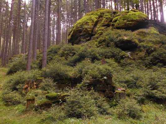 Ruine im Pohligsgrund