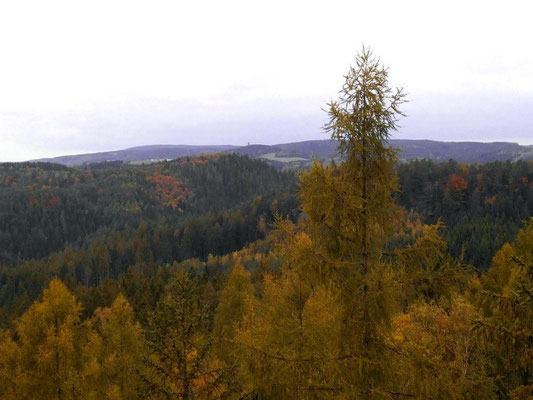 Falkenwände Westspitze, Blick nach Hinterhermsdorf, Weifberg mit Turm, links dahinter Tanzplan, von Bildmitte schräg nach links unten Kirnitzschtal