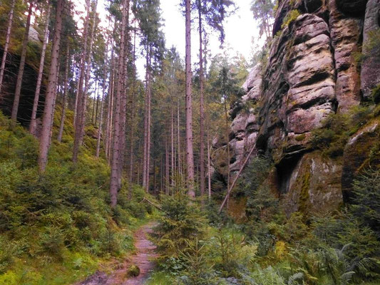 Im Tal des roten Floßes