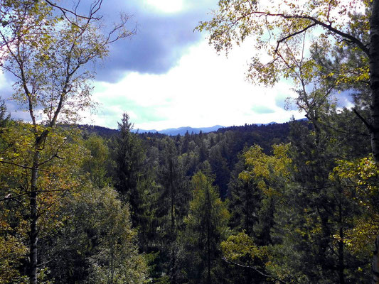 Blick vom östlichen Teil des Rosengartens zum Kreibitzer Bergland