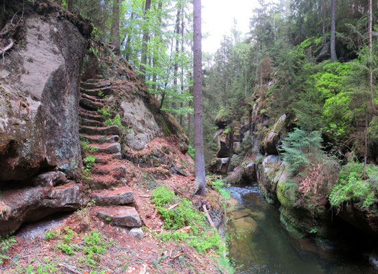 Ohne Baum
