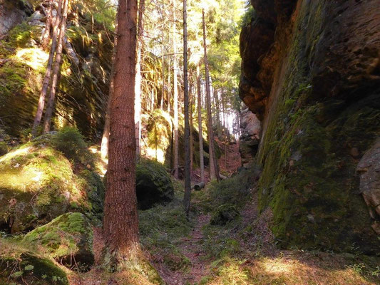 Im oberen Teil der Schlucht