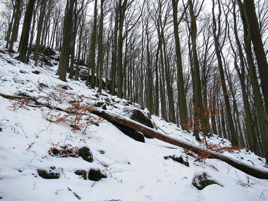 Raumbergkuppenweg