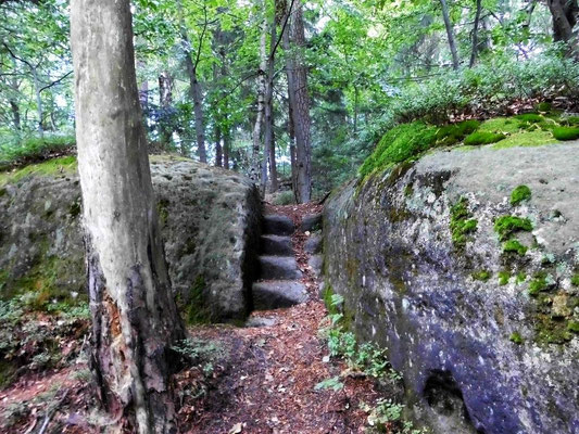 Alte Treppe im östlichen Teil vom Tannigtsteig