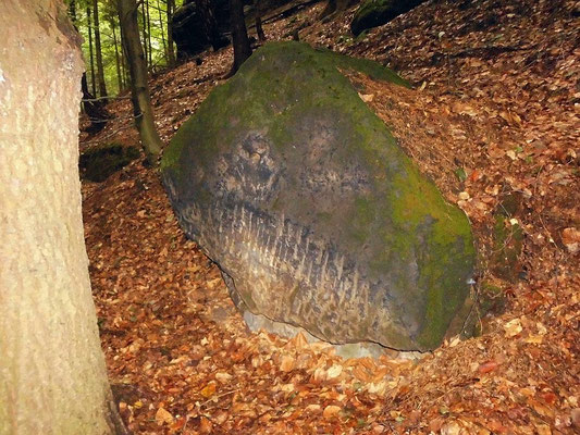 Nördlicher Rand vom Hirschgrund