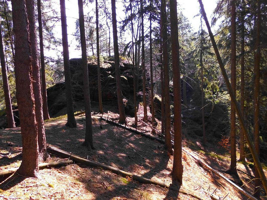 Auerhahnsteig westlicher Teil
