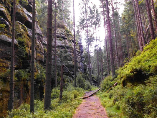 Im Tal des roten Floßes