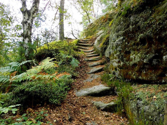 Alte Treppe vom Tannigtsteig