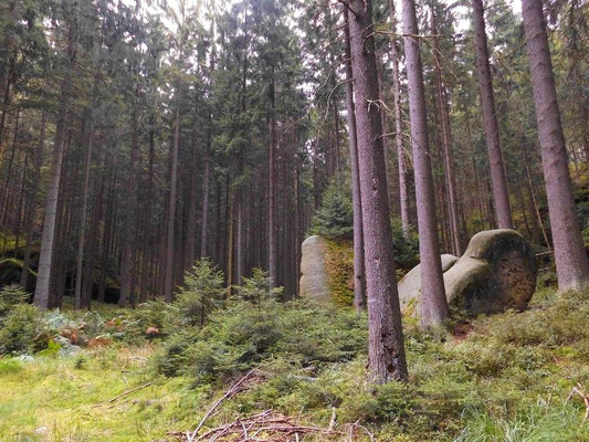 Blau markierter Wanderweg, hier zweigt ein Pfad Richtung Falkenwände ab (sehr unwegsam)