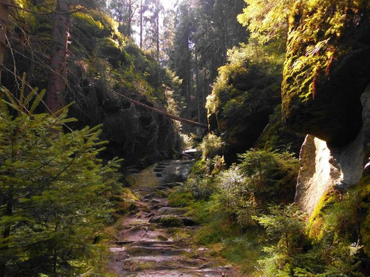 Beginn vom Brückengrund