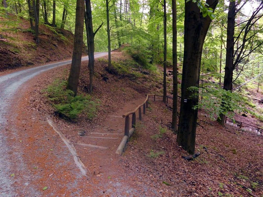 Weg von Hinterhermsdorf zur Oberen Schleuse