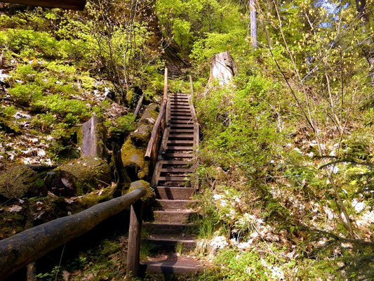 Abstieg in die Wolfsschlucht