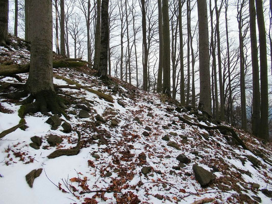 Raumbergkuppenweg