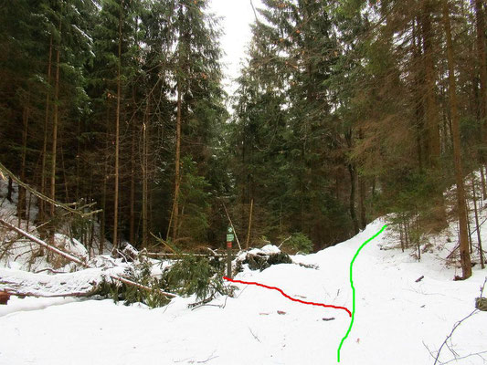 Mündung vom Kleinen Ziegengrund (rot) am Langen Leitenweg (grün)