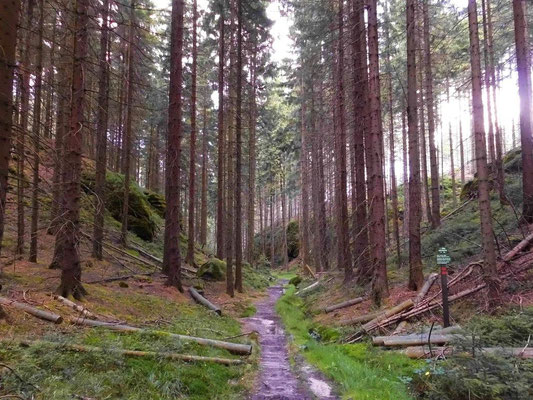 Oberer Teil des Brückengrundes