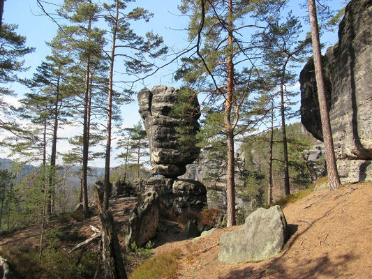 Hickelkopf