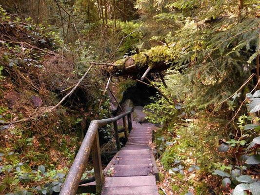 Abstieg in die Wolfsschlucht