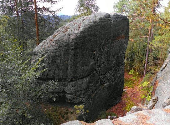 Käsescheibe