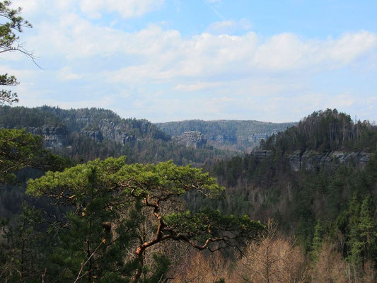 Blick vom Hickelkopf zur Sommerwand