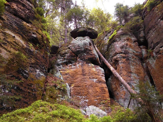 Am Wanderweg oberhalb vom Kerbensteig Teil 1
