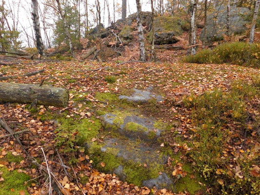 Nördlicher Teil vom Tannigtsteig in Richtung Tannigt