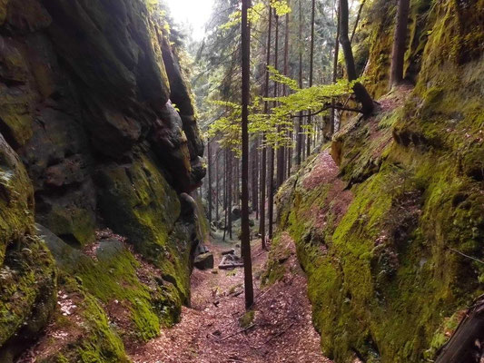 Im oberen Teil der Schlucht