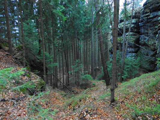 Nördlicher Beginn vom Thorwalder Gratweg