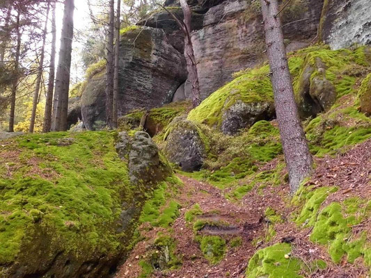 Aufstieg vom Blau markierten Wanderweg zur Drachenstiege. An dem kleinen Felsblock in Bildmitte und der Felsstufe darunter Meißelspuren.