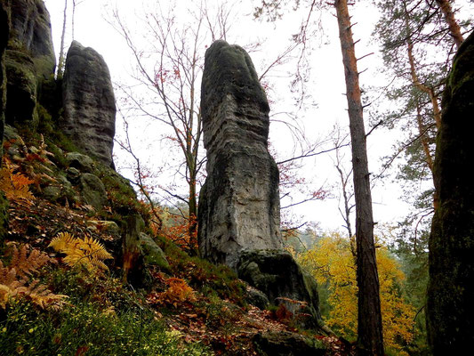 Balzhüttennadel