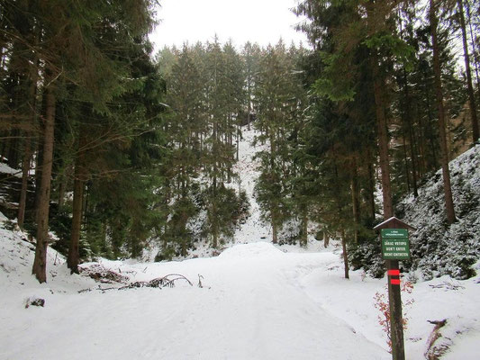 Blick nach Norden am Treffpunkt vom Weg aus dem Großen Zschand (von links) und Stimmersdorfer Steig (von rechts)