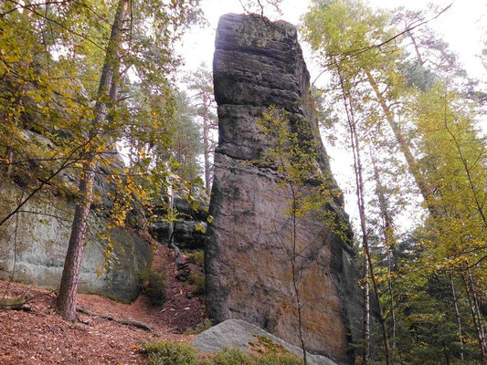 Käsescheibe