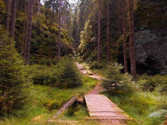 Beginn vom Brückengrund