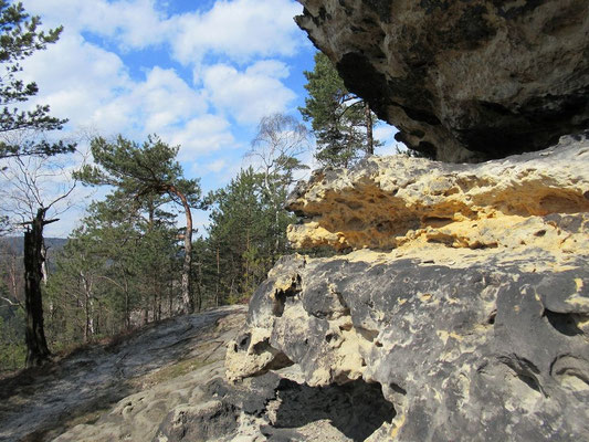 Am Fuß des Langen Horns