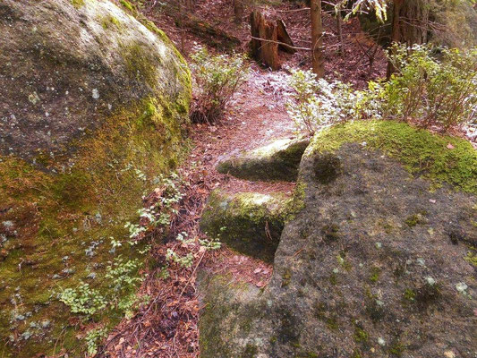 Wenige Meter neben dem unteren Ausgang der JP - Schlucht zwei eingemeißelte Felsstufen