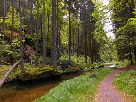 An dieser Stelle ging früher die sogenannte Hegerhausbrücke nach links ins Böhmische rüber. Drüben ging dann der Hegerhausweg ca. 1,5 Km bis Hinterdittersbach